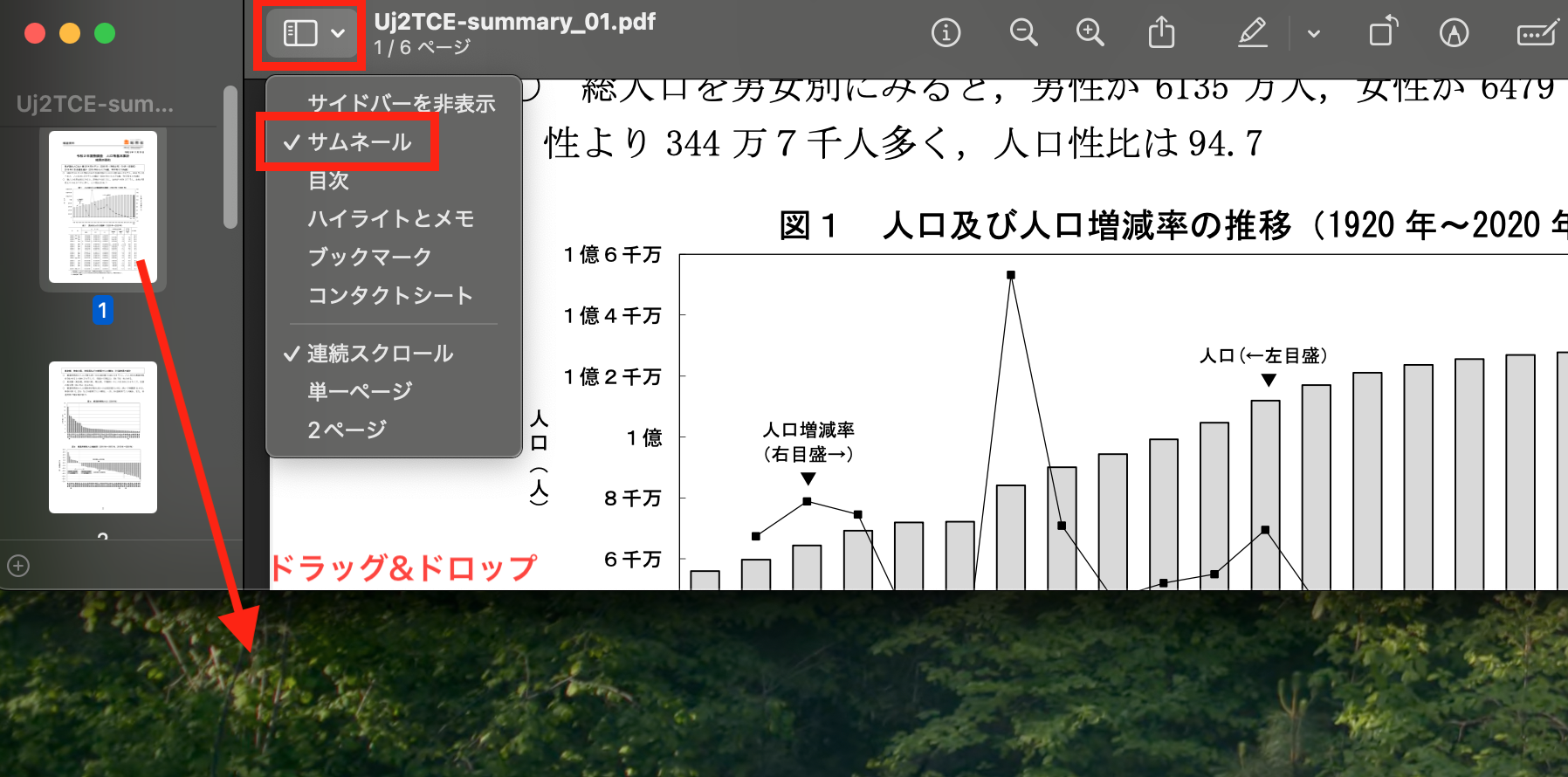 PDFの抽出